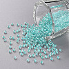 11/0 FGB Grade A Transparent Glass Seed Beads X-SEED-N001-F-257-1