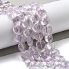 Natural Amethyst Beads Strands G-H005-C18-02-2