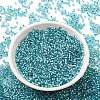 Glass Seed Beads SEED-S042-04B-23-2