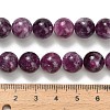 Natural Lepidolite Beads Strands G-L634-B01-10mm-5
