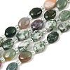 Natural Quartz Crystal & Crazy Agate & Green Spot Jasper & Unakite & Green Strawberry Quartz & Indian Agate Beads Strands G-Z135-A14-2