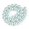 Glass Pearl Beads Strands HY-G002-01F-12-5