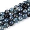 Dyed & Heated Natural Fire Crackle Agate Beads Strands G-N359-01B-03-2