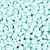 Opaque Glass Seed Beads SEED-N012-09A-06-3
