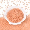 FGB Frosted Transparent Glass Seed Beads SEED-N013-06A-04-2