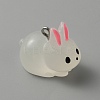Luminous Translucent Resin Pendants LS-RESI-SZC0004-11A-1