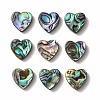 Abalone Shell/Paua Shell Beads SHEL-T005-01-2