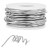 316 Stainless Steel Wire TWIR-WH011-03C-1