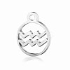 Non-Tarnish 201 Stainless Steel Charms STAS-T014-T505-11-1