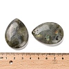 Natural Labradorite Pendants G-Z088-02K-3