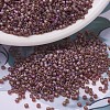 MIYUKI Delica Beads SEED-MY11-DB0853-1