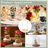 30Pcs Arch Glass Dome Cover AJEW-BC0008-85B-5