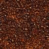 FGB 8/0 Grade A Round Glass Seed Beads SEED-Q006-3mm-F24-2