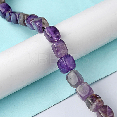 Natural Amethyst Beads Strands G-F743-02T-1