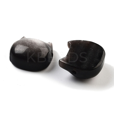 Natural Silver Sheen Obsidian Beads G-H007-03D-1