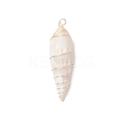 Copper Wire Wrapped Natural Spiral Shell Big Pendants PALLOY-JF03397-01-1