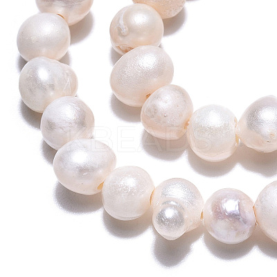 Natural Cultured Freshwater Pearl Beads Strands PEAR-N013-04E-1