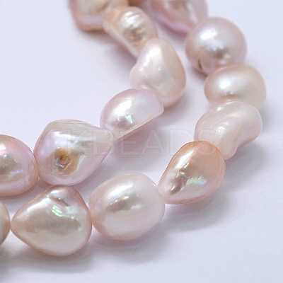 Natural Cultured Freshwater Pearl Beads Strands PEAR-K004-05B-01-1