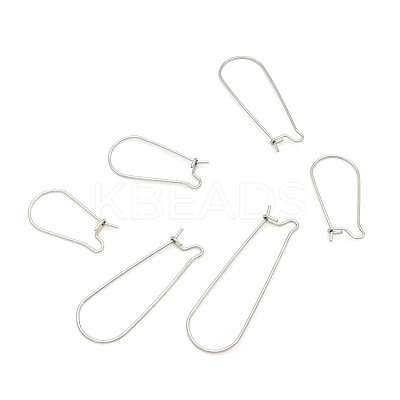 Stainless Steel Hoop Earring Findings STAS-WH0014-34D-P-1