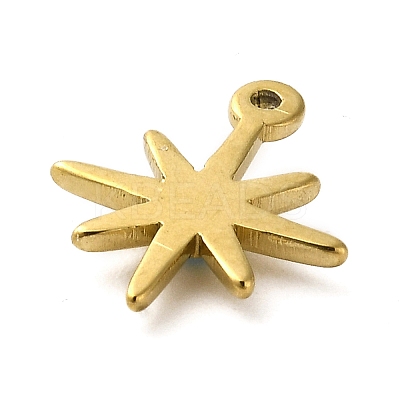 301 Stainless Steel Pendants LS-STAS-K266-02A-G-1