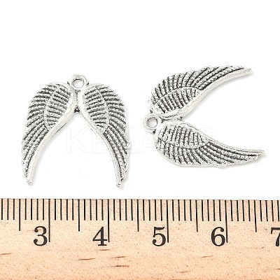Tibetan Style Alloy Pendants FIND-B050-24AS-02-1