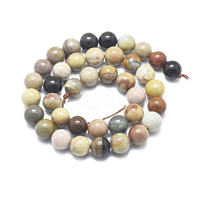 Natura Ocean Jasper Beads Strands G-D0001-07-10mm-1