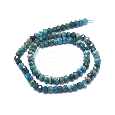 Natural Apatite Beads Strands G-F715-101B-1