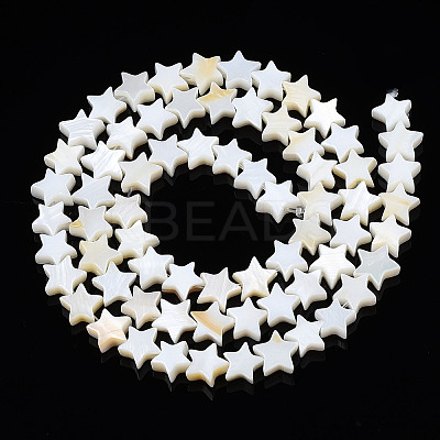 Natural Freshwater Shell Beads Strands LS-SHEL-S278-01A-01-1
