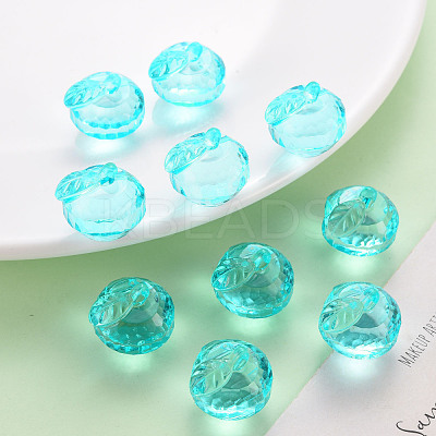 Transparent Acrylic Pendants TACR-T024-05B-946-1