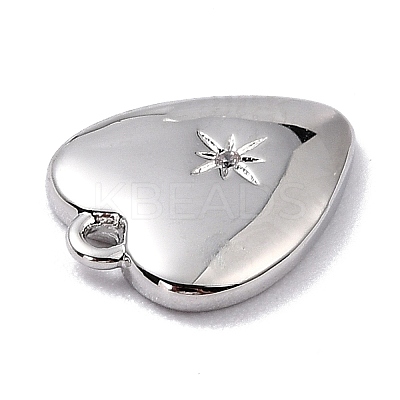 Brass Micro Pave Cubic Zirconia Charms LS-ZIRC-I054-14P-03-1