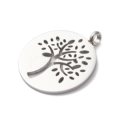 304 Stainless Steel Pendants STAS-P393-03P-1
