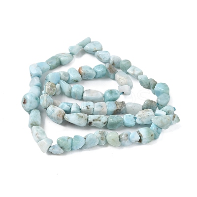 Natural Larimar Beads Strands G-K203-48-1