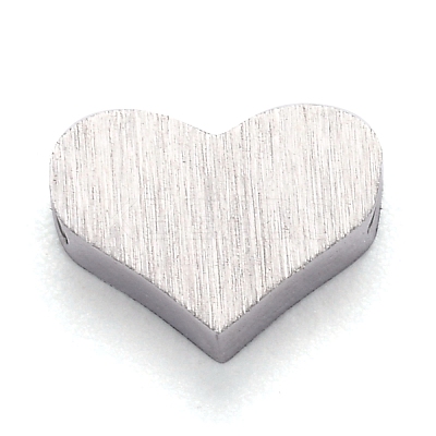 Tarnish Resistant 304 Stainless Steel Charms STAS-H105-15P-1