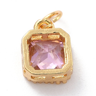 Real 18K Gold Plated Brass Inlaid Cubic Zirconia Charms ZIRC-L100-073G-06-1