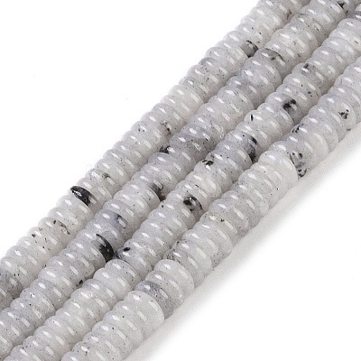 Natural Labradorite Beads Strands G-Q159-B10-01-1