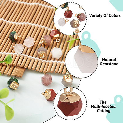 12Pcs 6 Style Natural Gemstone Charms G-FW0001-24-1