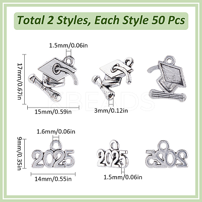 2 Styles Tibetan style Alloy Pendants PALLOY-SC0012-66-1