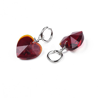 Faceted Transparent Glass Charms GLAA-T024-04H-1