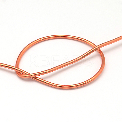 Round Anodized Aluminum Wire AW-S001-6.0mm-12-1