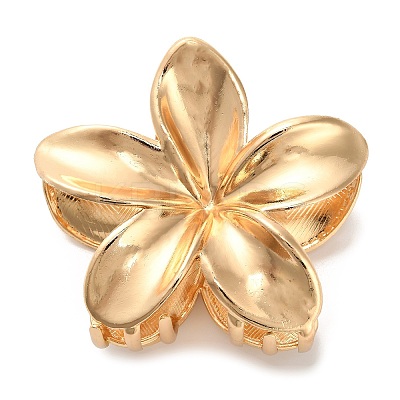 Alloy Claw Hair Clips AJEW-A061-06C-G-1