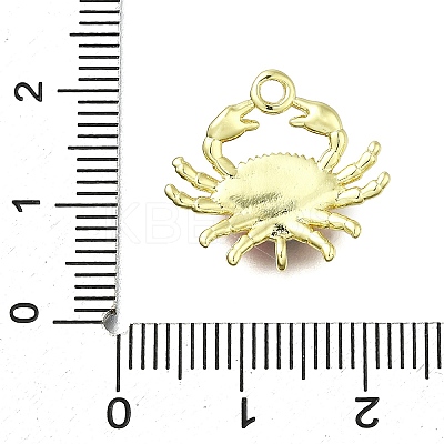 Brass Red Enamel Carb Links Connector Charms KK-K400-19G-1