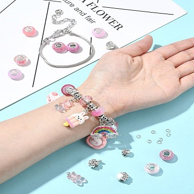 DIY Cartoon Resin & Alloy European Beads Bracelets Making Kits DIY-FS0007-21-1
