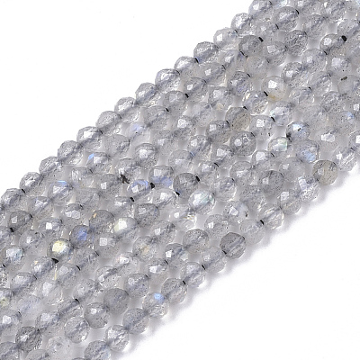 Natural Labradorite Beads Strands X-G-S361-2mm-010-1