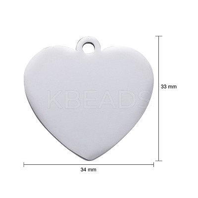 Tarnish Resistant 304 Stainless Steel Pendants STAS-I140-10B-S-1