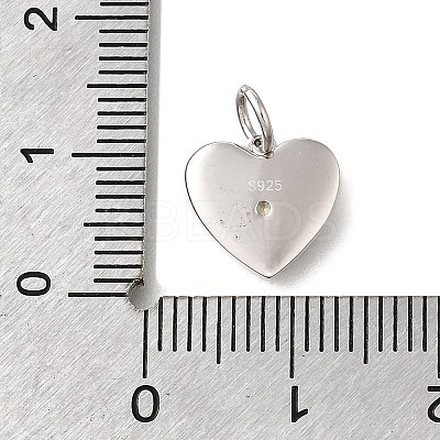 925 Sterling Silver Micro Pave Clear Cubic Zirconia Charms STER-V001-01P-11-1