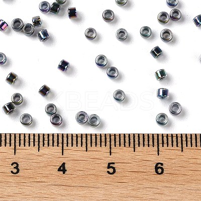 Glass Seed Beads SEED-S042-13A-19-1