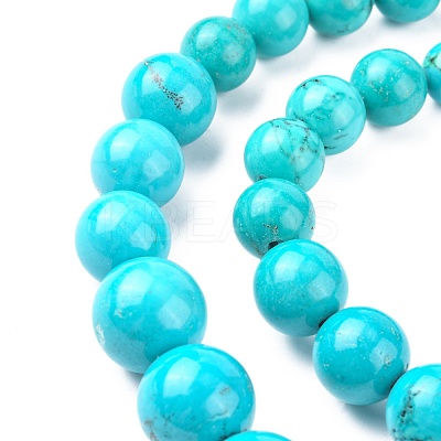 Natural Magnesite Graduated Beads Strands G-F604-01-1