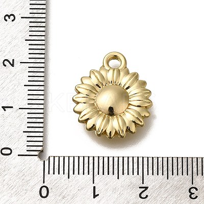 Alloy Pendants FIND-U023-01G-05-1