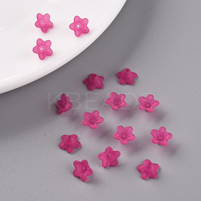 Transparent Acrylic Beads X-PL554-04-1