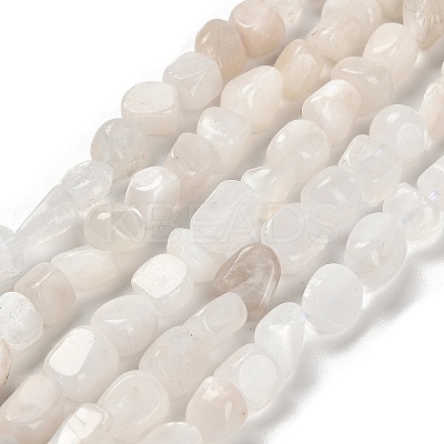 Natural Rainbow Moonstone Beads Strands G-P497-01E-69A-1
